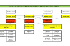 Vilniaus r. Nemenčinės Gedimino gimnazijos valdymo struktūros schema